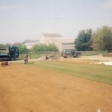 large-garden-03.jpg