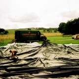 pond02.jpg