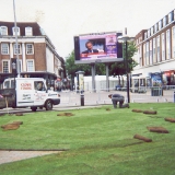 Specialist Queens Gardens