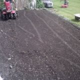 Firming and levelling ground with stone rake.