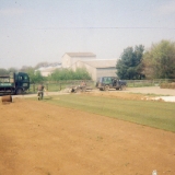 Large Garden