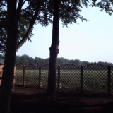 Fencing
