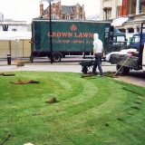 Specialist Queens Gardens